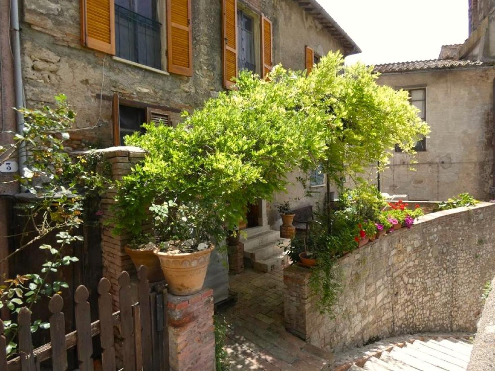 Scappo In Umbria, La Loggia Apartment Amelia Luaran gambar